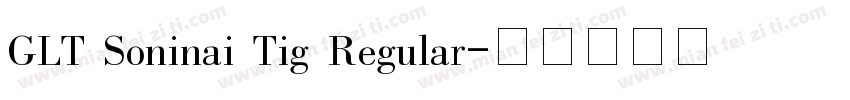 GLT Soninai Tig Regular字体转换